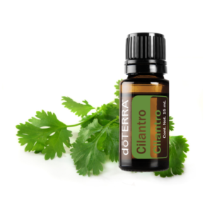 Aceite esencial de Cilantro