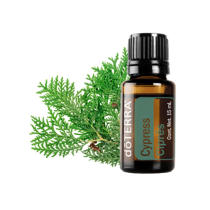 Aceite esencial de Ciprés