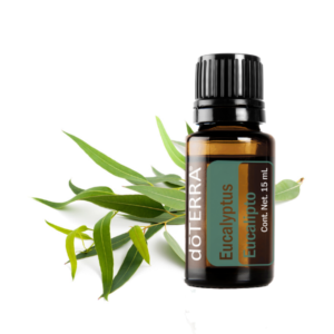 Aceite Esencial de Eucalipto