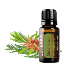 Aceite Esencial de Melaleuca