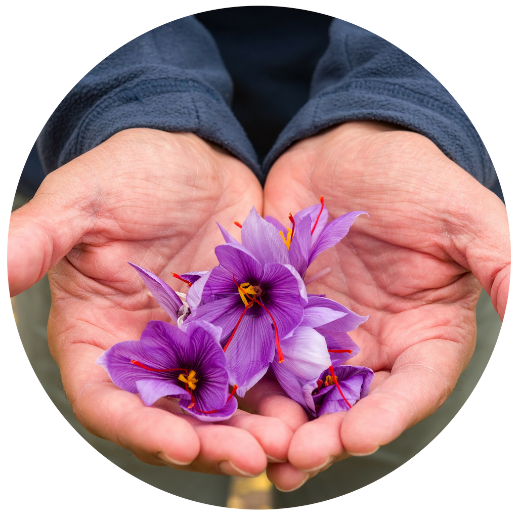 Cosecha flores