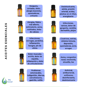 Explicación de los aceites básicos
