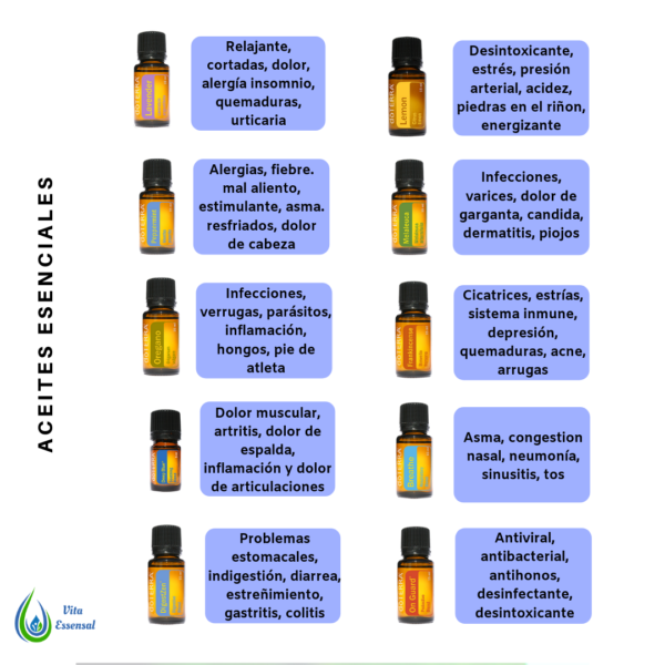 Explicación de los aceites básicos