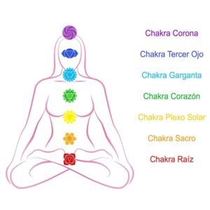 Los 7 chakras