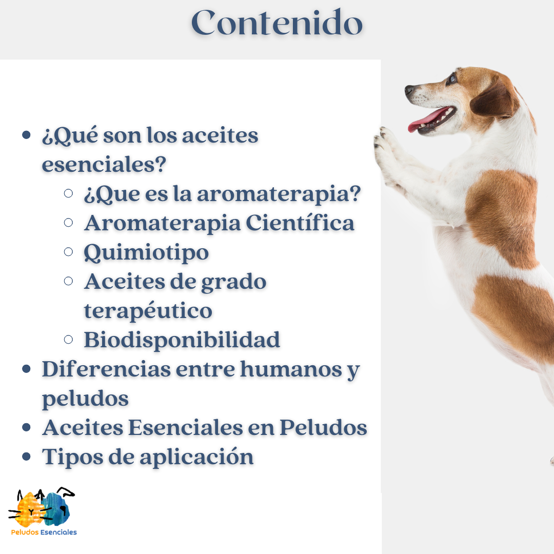 Contenido del curso