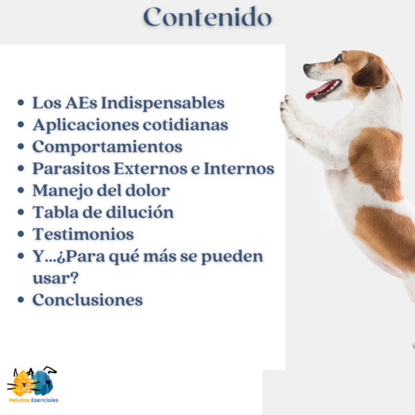 Contenido del curso